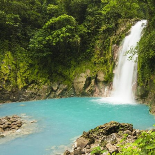 COSTA RICAN RAINFOREST